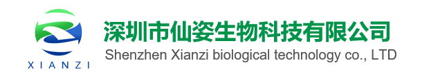 深圳仙姿科技